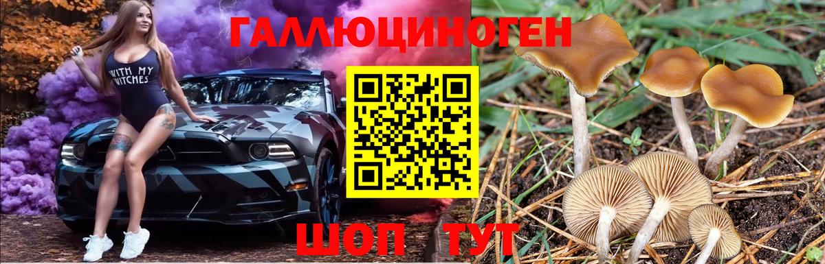 Кузнецк  Псилоцибиновые грибы прущие грибы  Вход с VPN 
