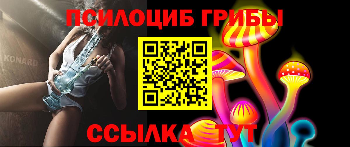 Псилоцибиновые грибы Psilocybine cubensis Кузнецк